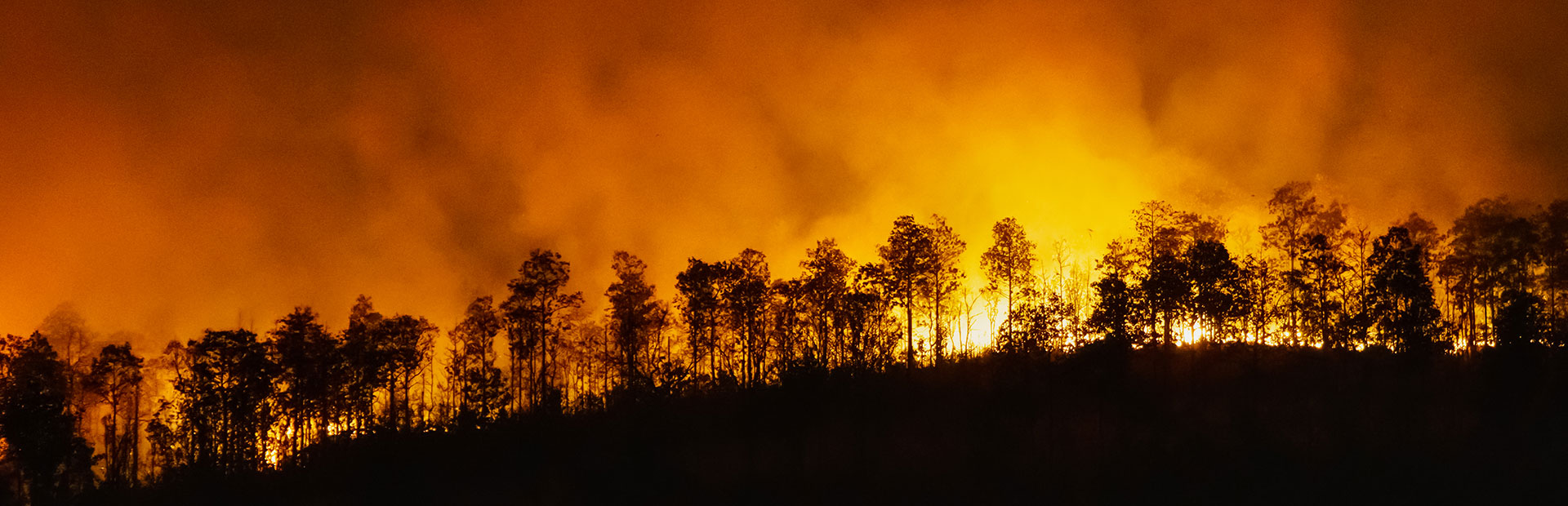 Previsão de incêndios florestais