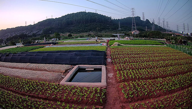 จับภาพความงามของยามค่ําคืน