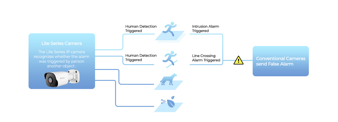 How does Smart Detection with Lite Series Camera?