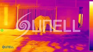Sunell Thermal Camera - Elephant Dancing