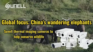 Sunell Thermal Imaging Cameras to Help Conserve Wildlife