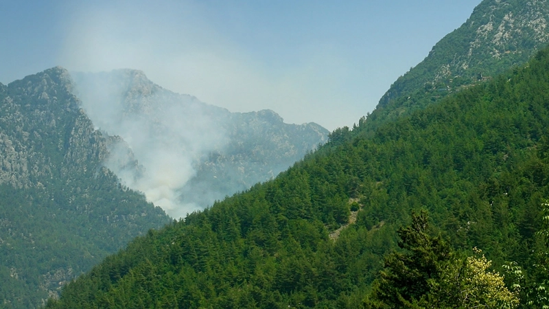 AI enhances wildfire prediction and prevention, safeguarding nature and securing lives