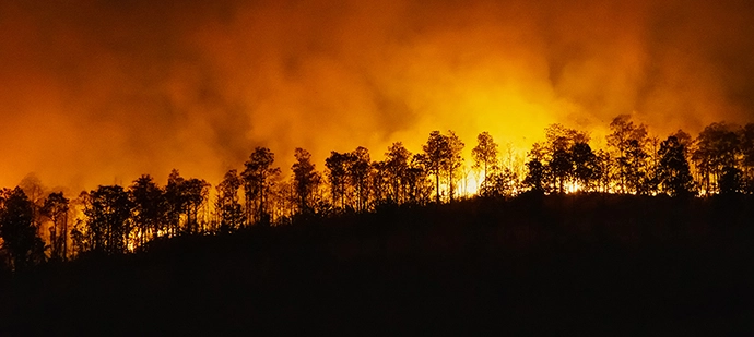 Soluzione per sistemi di rilevamento incendi boschivi