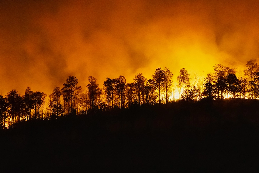 Wildfire Detection System Solution